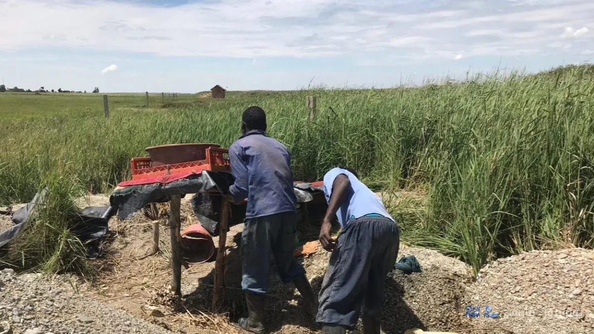 South Africa's Chrome Wealth; A Deadly Underground for Migrant Workers
